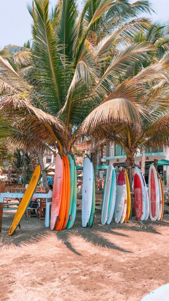 Best Beginner Surfboards