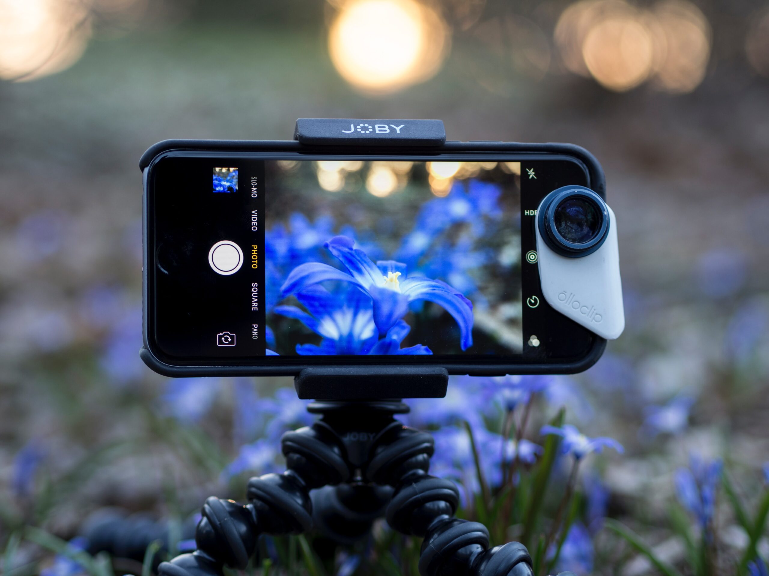 Best Tripod For iPhones