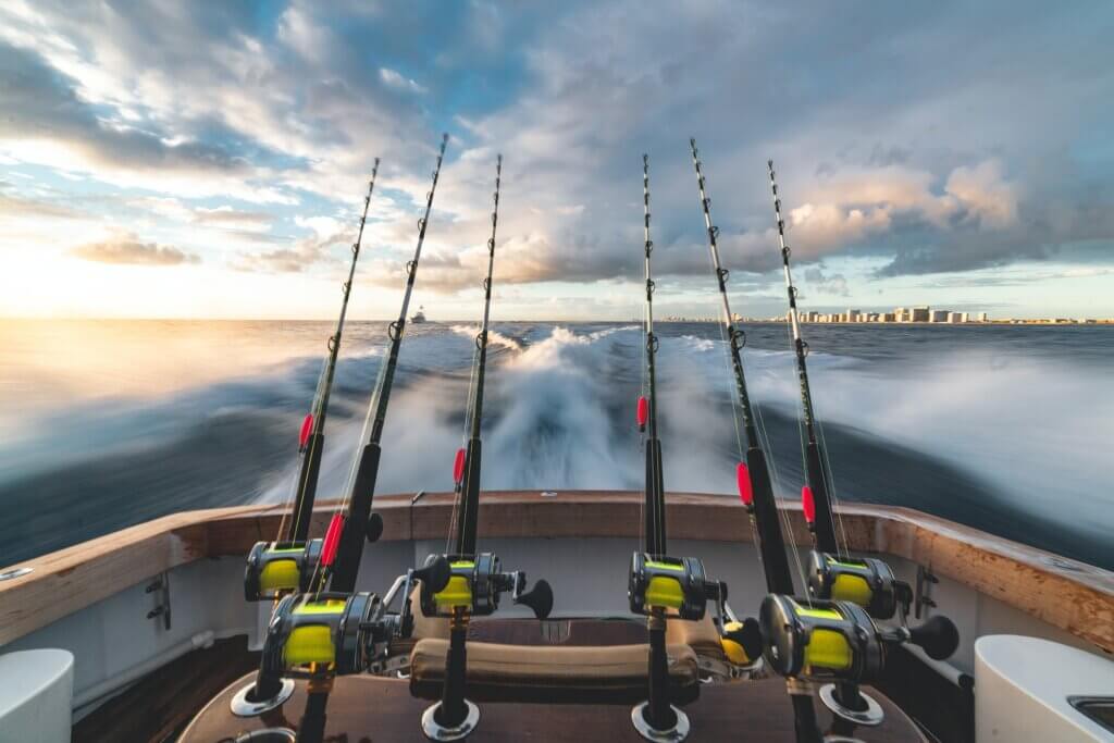 Best Fishing Rods