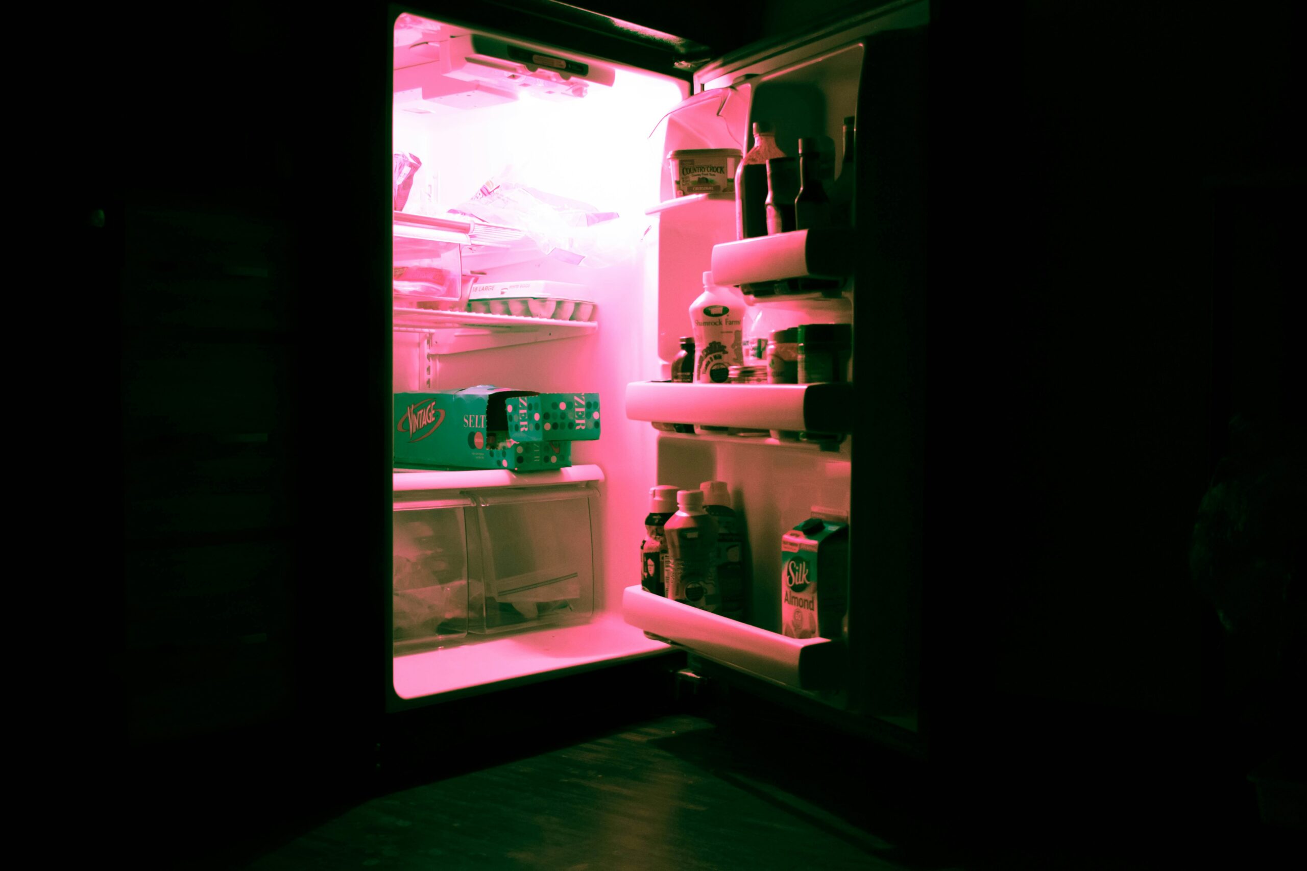 Best Garage Refrigerators