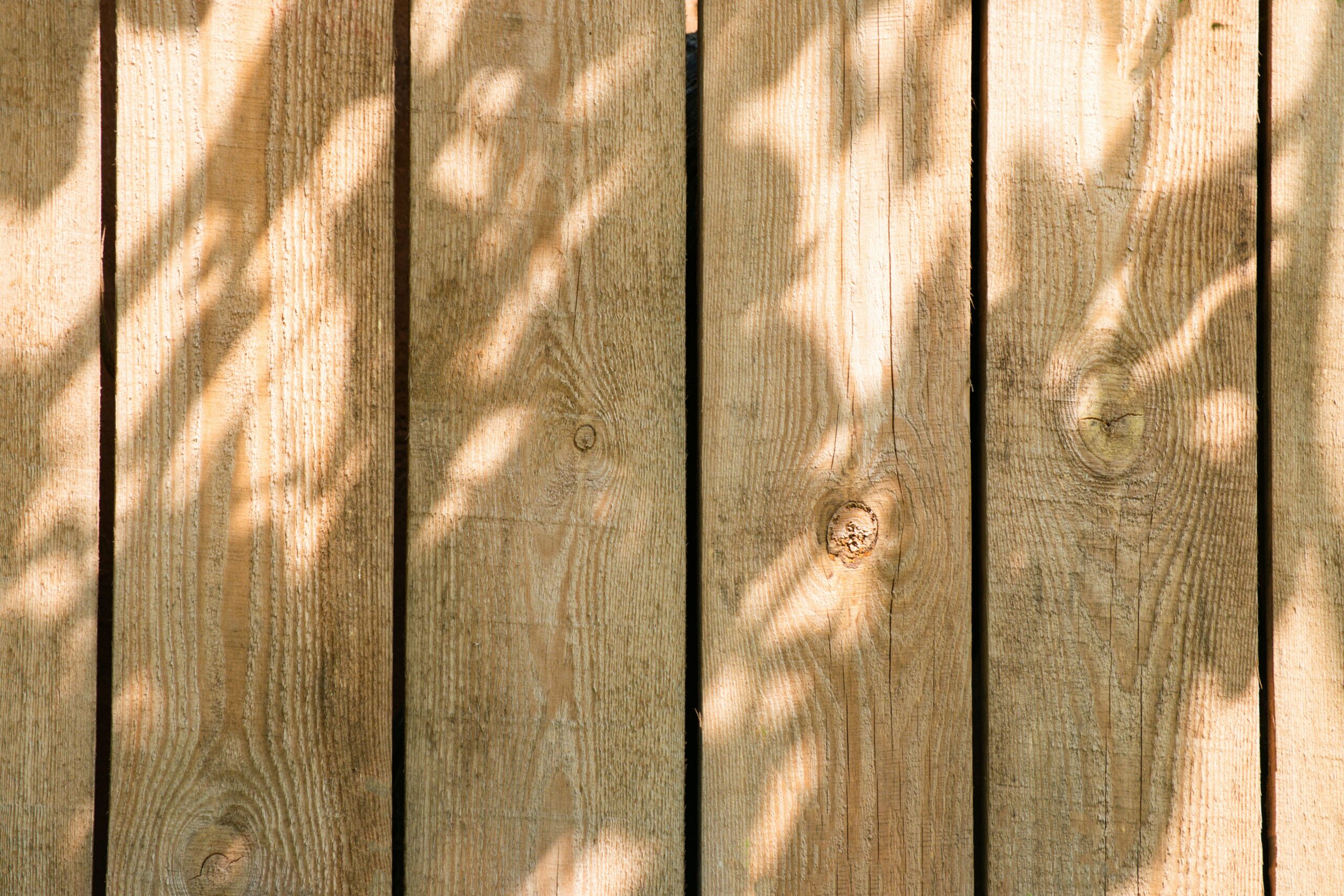 Best Privacy Fence Screens