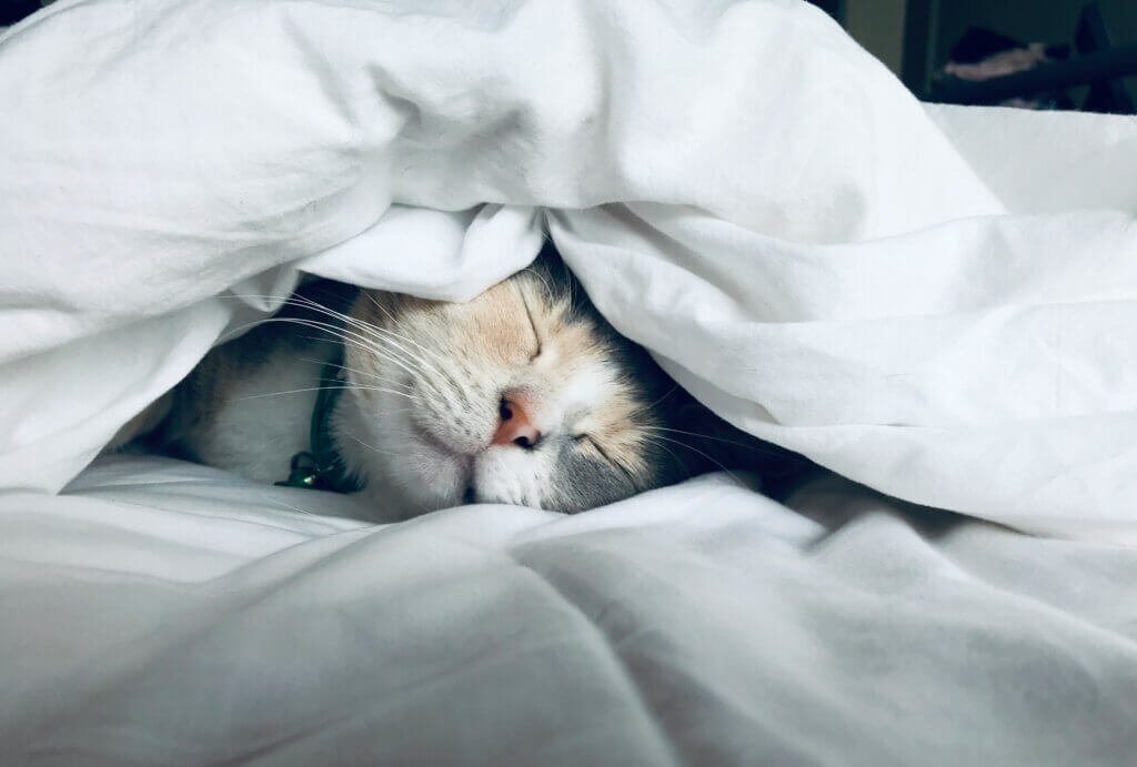 best summer comforter