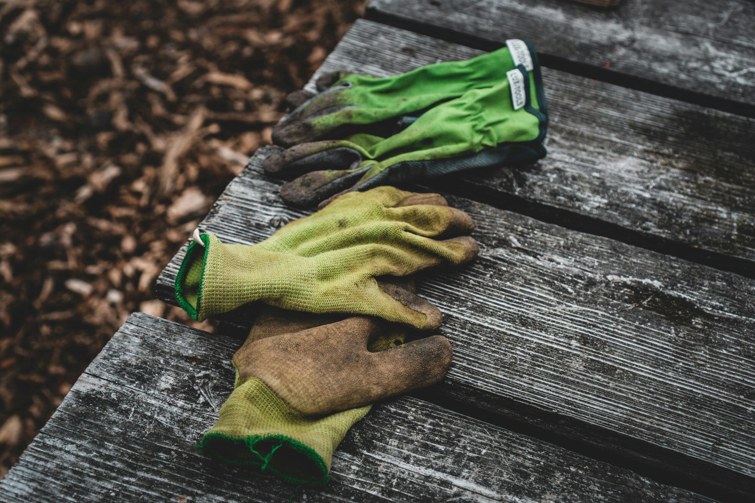 Best Gardening Gloves