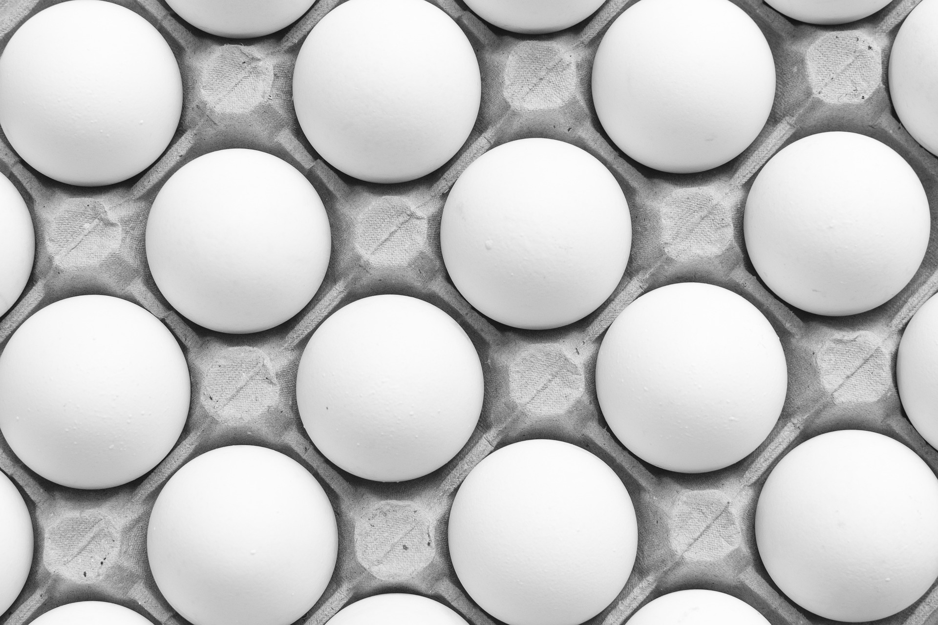 How Much Protein In An Egg?