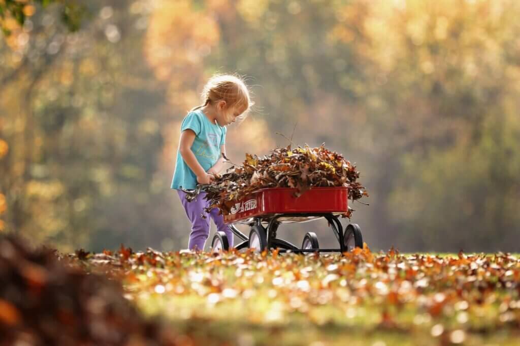 Best Folding Wagon