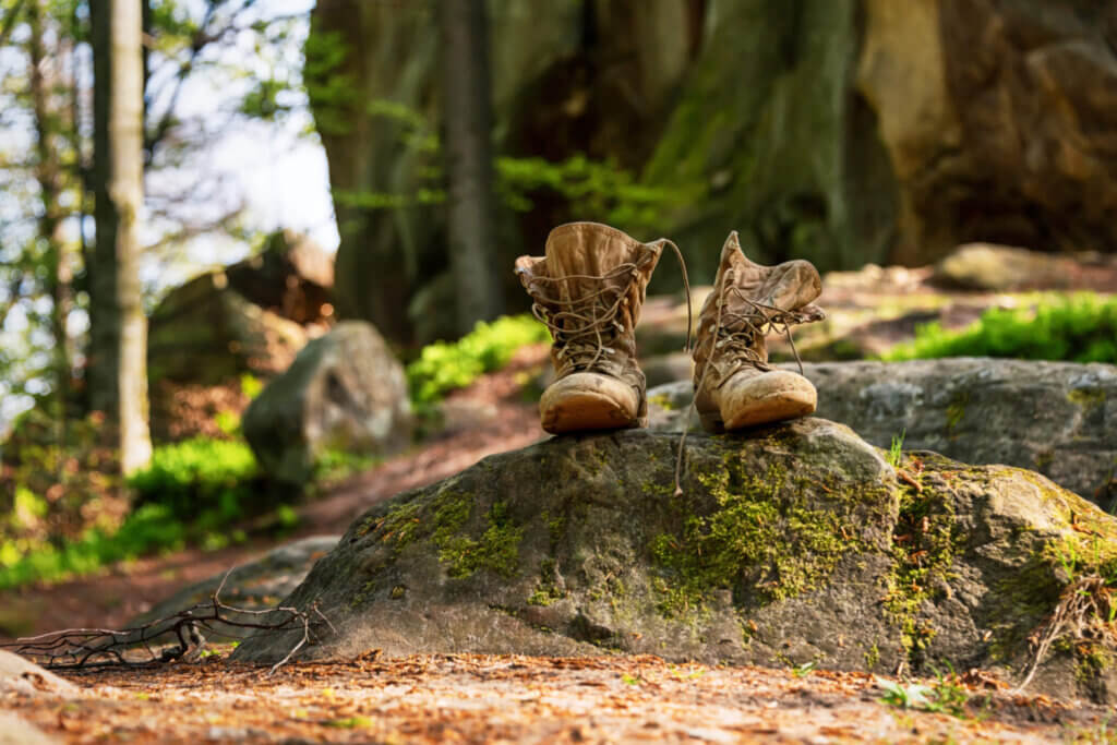 Best Hunting Boots